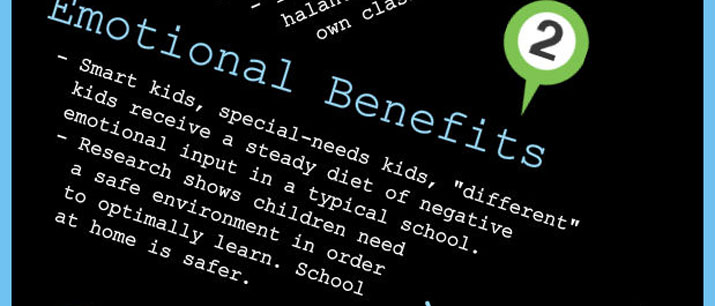 Emotional Benefits - Smart kids, special-needs kids, "different" kids receive negative emotional input in school. Children need a safe environment to learn.